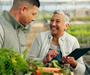 ERP agroindustrial, Software florícola, ERP Ecuador, trazabilidad