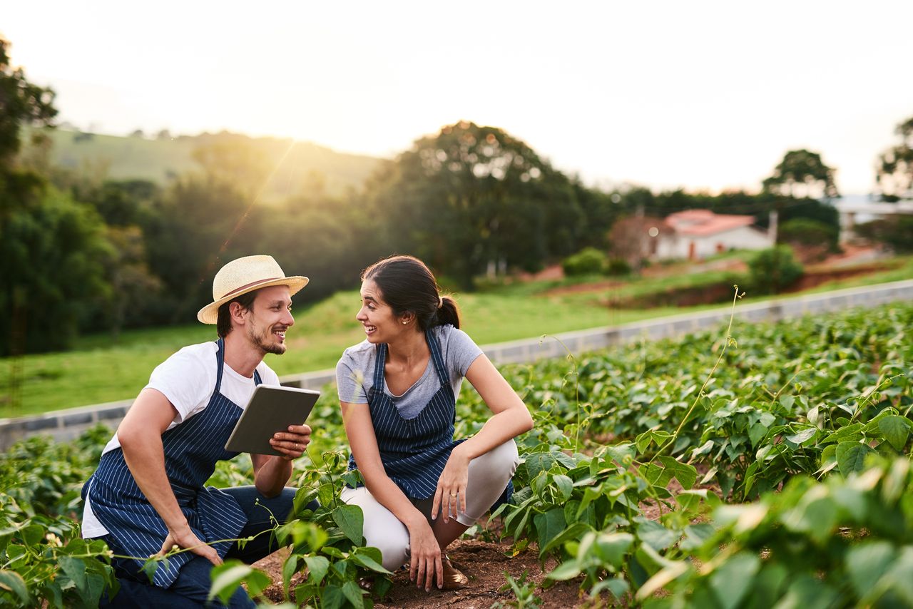 Optimización de procesos en la industria agrícola