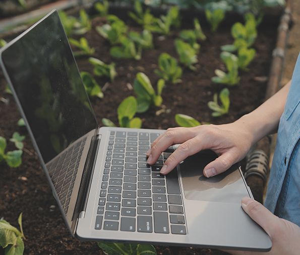 Soluciones tecnológicas para la producción agrícola