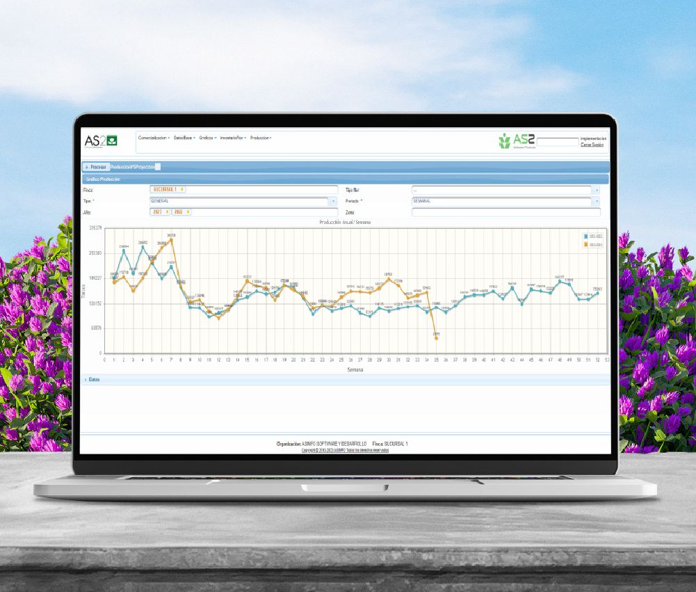 Gráfico de producción florícola Pantalla de laptop mostrando un gráfico de producción de flores.